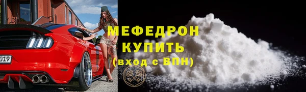 индика Нягань