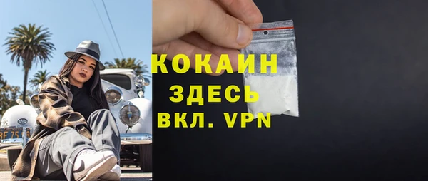 сатива Сосновый Бор