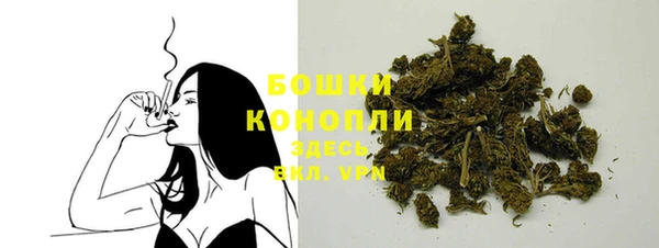 индика Нягань