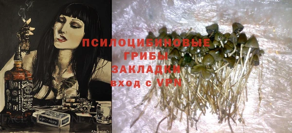 МДПВ Няндома