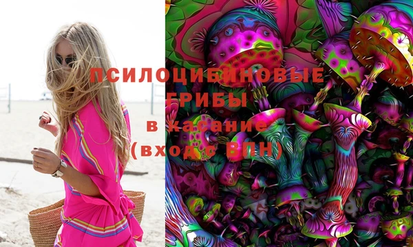 сатива Верхнеуральск