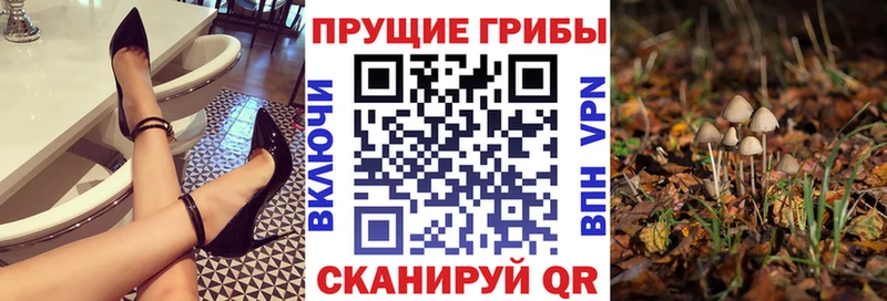 Псилоцибиновые грибы ЛСД  Дальнегорск 
