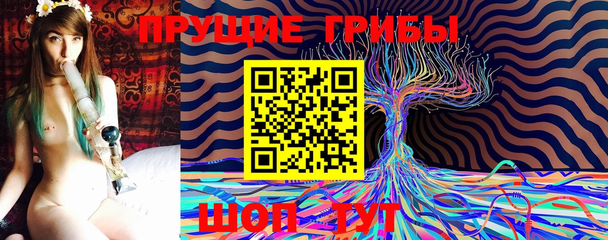 Дальнегорск  Галлюциногенные грибы Psilocybe  Псилоцибиновые грибы прущие грибы  Вход с VPN 