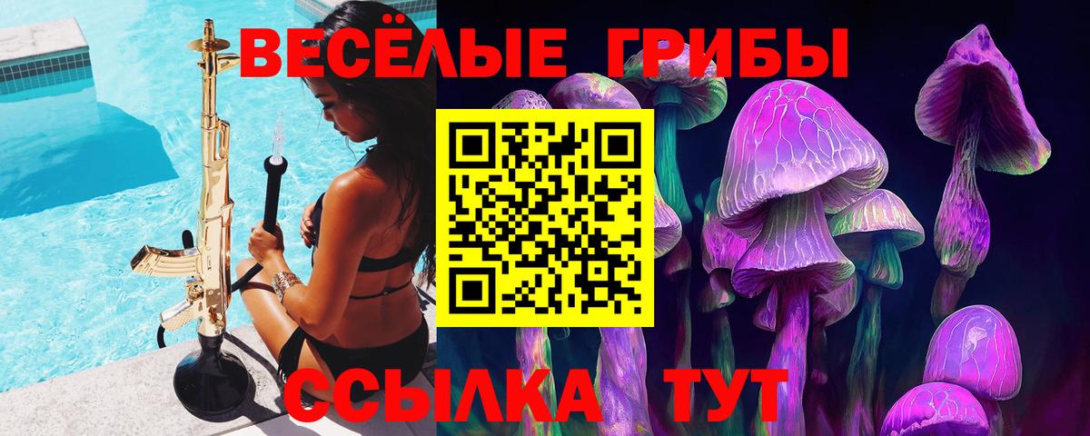 Галлюциногенные грибы Psilocybine cubensis Дальнегорск