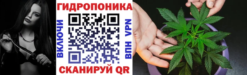 МАРИХУАНА SATIVA & INDICA  блэк спрут как зайти  Дальнегорск  где продают  